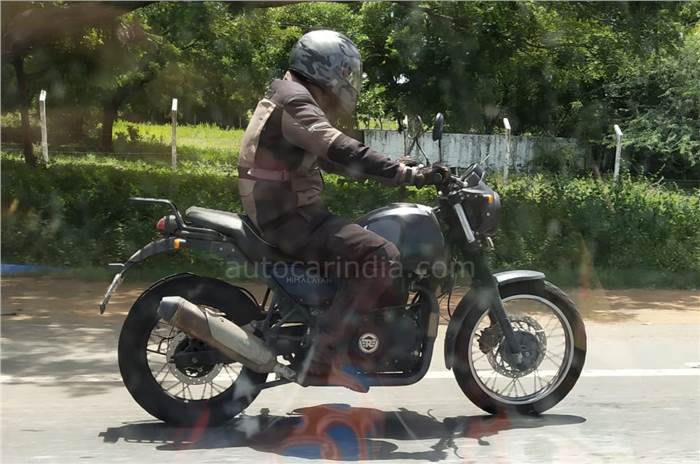 New RE Himalayan variant spotted testing again